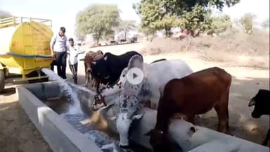 लूनकरनसर: चक जोड़ गांव के ग्रामीण पेयजल की किल्लत से परेशान, नहीं पहुंच रहा पीने का पानी #jansamasya