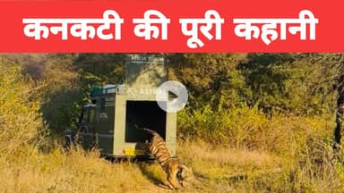 कनकटी बाघिन की पूरी कहानी देखिए जरा ।