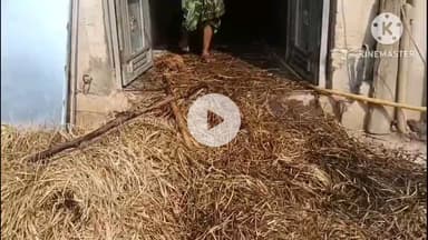 बरकट्ठा: बुचई में लकड़ी के चूल्हे पर खाना बनाते समय घर में लगी आग