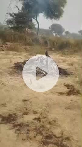 जसराना: नगला छैंकुर में शव लेकर पहुंचे ग्रामीणों ने अतिक्रमण देख अंतिम संस्कार से किया इनकार, पुलिस ने समझाया