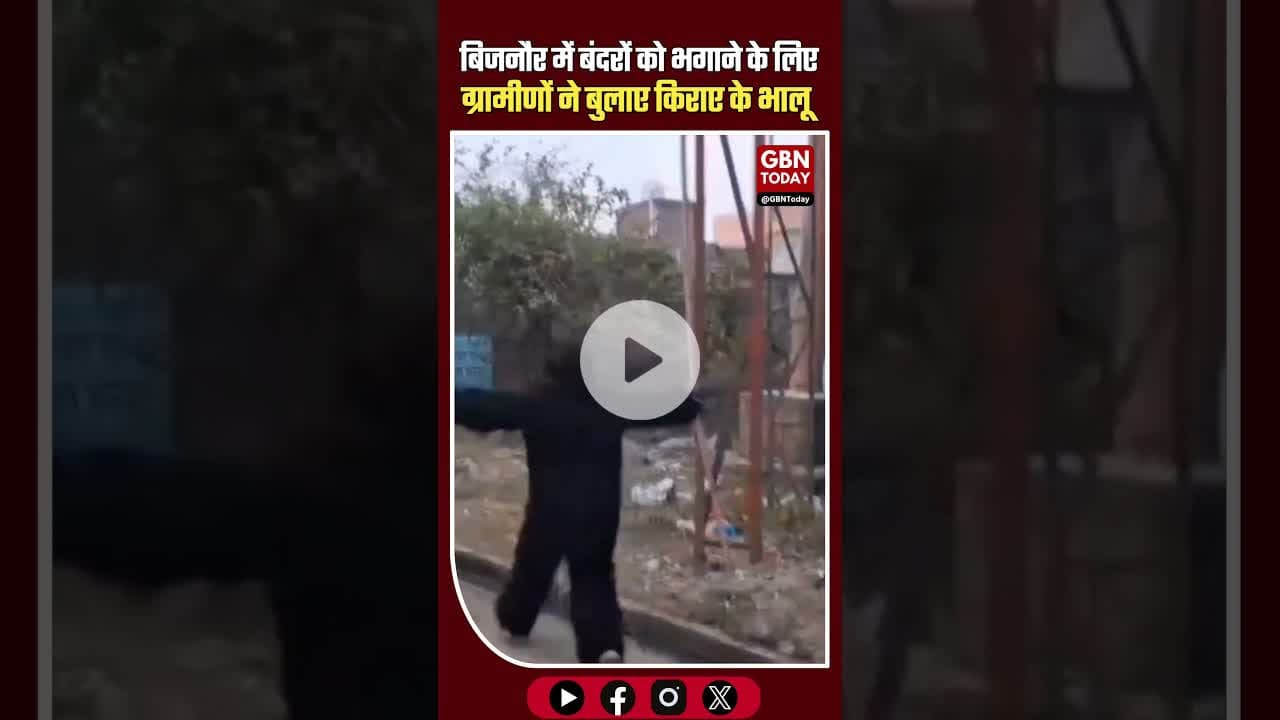 बिजनौर में बंदरों को भगाने के लिए ग्रामीणों ने बुलाए किराए के भालू #Bijnor #Monkeys #AnimalControl