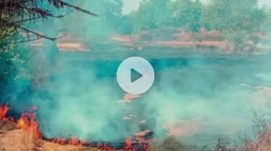 नर्रा में रबी धान की तैयारी तेज, पराली जलाने पर रोक बेअसर