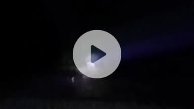 ଗୁରୁଣ୍ଡିଆ: ପଞ୍ଚରା ସାଉଥ୍ ରିଜର୍ଭ ଫରେଷ୍ଟ ନିକଟରେ 23 ଟିକିଆ ହାତୀ ପଲ, ବିନା କାରଣରେ ଘରୁ ନ ବାହାରିବାକୁ ସତର୍କ କଲା ବନ ବିଭାଗ