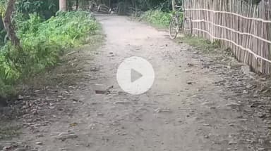 পশ্চিম ডিব্ৰুগড়: খোৱাং সমষ্টিৰ কলাখোৱাৰ দিহিং থান গাঁৱৰ এটা পথৰ দুৰৱস্থা, বিধায়ক চক্ৰধৰ গগৈৰ বিৰুদ্ধে ক্ষোভ জনসাধাৰণৰ