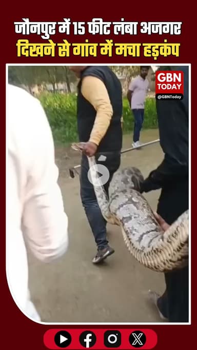 जौनपुर के केराकत में 15 फीट लंबा अजगर दिखने से गांव में दहशत #Jaunpur #Kerakat #Python #Ajgar #WildlifeAlert