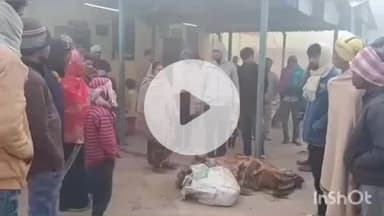 बखरी: बखरी सलौना स्टेशन परिसर में वृद्ध व्यक्ति का शव मिलने से सनसनी, जांच में जुटी प्रशासन