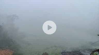 परिहार: परिहार में ठंड से जनजीवन अस्त-व्यस्त, बुजुर्ग और बच्चे ज्यादा परेशान