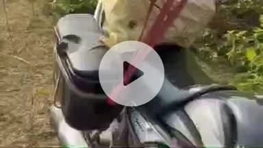 झाझा: नारगंजो जंगल में शराब तस्कर शराब से लदी बाइक छोड़कर हुआ फरार, पुलिस नंबर के आधार पर तस्कर की पहचान में जुटी