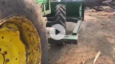 పామర్రు-కురకాళ్లపల్లి రహదారిలో కూలిన భారీ వృక్షం