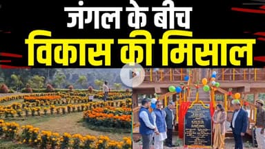 पर्यटन को पंख! वुड हाउस और आकाश टॉवर से सजे वन आरोग्य पार्क