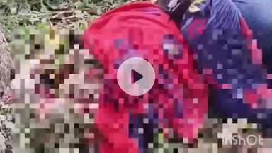 जमुई: चकन्दरा डीएवी स्कूल के पास बाइक दुर्घटना में पंच सदस्य की मौत, पुत्र घायल