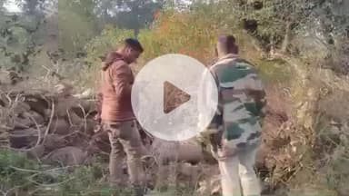 जतारा: बैरबार: खेत में झाड़ियों से ढका मिला नीलगाय का शव, जांच में जुटी वन विभाग पुलिस