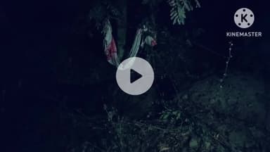 घाघरा: घाघरा थाना क्षेत्र में सड़क दुर्घटना, दो युवक घायल, प्राथमिक उपचार के बाद गुमला रेफर