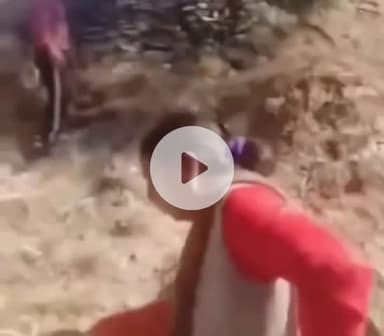 कुमारसैन: कुमारसैन में जमीनी विवाद को लेकर हुई कहा-सुनी, महिला ने एक व्यक्ति की पिटाई की