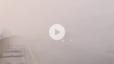 मथुरा: कोहरे की दस्तक से राष्ट्रीय राजमार्ग पर फर्राटे मारने वाले वाहनों के थमे पहिए, बढ़ी मुश्किलें