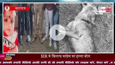 बहराइच में दहशत: घर से मासूम को उठा ले गया भेड़िया, 13 घंटे बाद एनकाउंटर