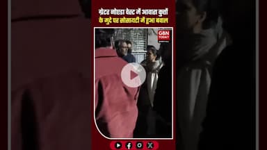 ग्रेटर नोएडा में आवारा कुत्तों के मुद्दे पर सोसायटी में विवाद #GreaterNoidaWest #ShriradhaSkyGarden