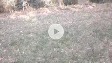 बिलासपुर सदर: बिलासपुर में 4282 किसानों ने प्रधानमंत्री फसल बीमा योजना का लाभ लिया, उपनिदेशक कृषि विभाग प्रेमचंद ने दी जानकारी