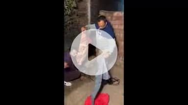 अम्बाला: अंबाला में कुत्तों ने नीलगाय के बच्चे को काटा, सामाजिक लोगों ने किया उपचार