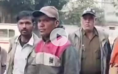 चंदिया: चंदिया वन क्षेत्र में करेंट लगने से बाघ की मौत, 6 शिकारी गिरफ्तार, कथली नदी किनारे मिला शव