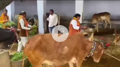 गंगापुर: गंगापुर सिटी के श्री गोपाल गौशाला में मुख्यमंत्री भजनलाल शर्मा का जन्मदिन गौसेवा व पूजन के साथ मनाया गया