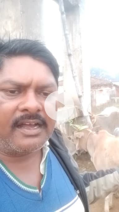 ग्राम पंचायत dehiya के सरपंच श्री लल्लू प्रसाद साकेत द्वारा आवारा पशुओं के साथ क्रूर ब्यौहार किया जा रहा है!
@DM_Muganj