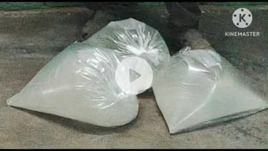 चेनारी: पुलिस ने 20 लीटर महुआ निर्मित शराब के साथ शराब कारोबारी को किया गिरफ्तार