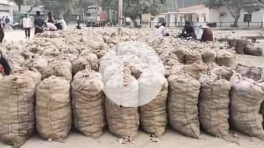 फर्रुखाबाद: एशिया की सबसे बड़ी सातनपुर आलू मंडी में करीब 30,000 पैकेट आलू की हुई आवक, आलू का भाव ₹300-₹421 प्रति पैकेट