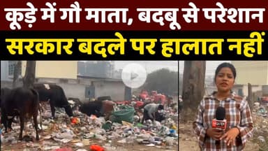मोहन गार्डन का हाल बेहाल, कूड़ेघर में गौ-माता .. बदबू से लोग परेशान