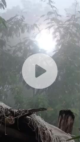 #मैहर# बीडी# कॉलोनी #के जस्ट# पीछे#