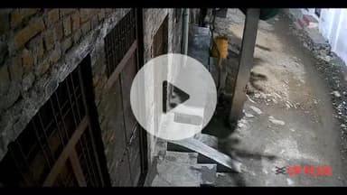 लाडपुरा: आरकेपुरम थाना क्षेत्र के रोझड़ी हनुमान मंदिर से दानपात्र व टीवी चोरी का संदिग्ध सीसीटीवी फुटेज सोशल मीडिया पर वायरल