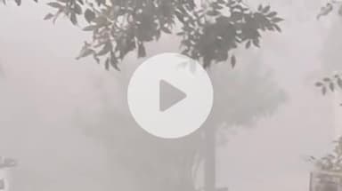 फर्रुखाबाद: जिले में घने कोहरे की मोटी चादर, वाहनों की रफ्तार थमी, सामान्य जन जीवन अस्त-व्यस्त, बुजुर्ग घरों में दुबके