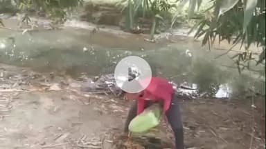 नबीनगर: रामरेखा नदी तट पर पुलिस की बड़ी कार्रवाई: 15 लीटर महुआ शराब जब्त, 1000 लीटर महुआ किया गया नष्ट