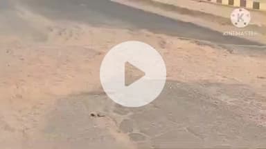 नूरसराय: सालेपुर-नूरसराय आरओबी की मरम्मत के लिए डीएम ने दिए आदेश