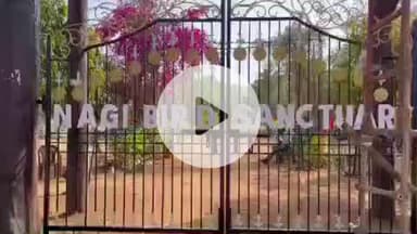 झाझा: रामसर की सूची में शामिल झाझा के नागी पक्षी आश्रयणी केंद्र में विदेशी पक्षियों का लगने लगा जमावड़ा