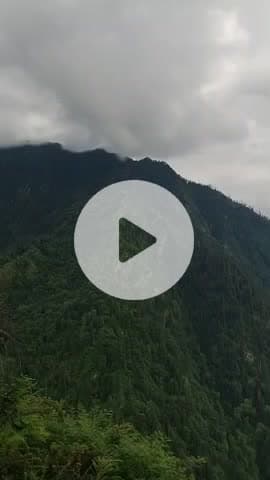 दाड़लाघाट: वन रक्षक को रिश्वत लेते गिरफ्तार किया गया, विजिलेंस ने की सख्त कार्रवाई