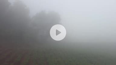 கல்வராயன் மலை: கல்வராயன்மலையில் கடும் பனிப்பொழிவு காரணமாக மலைப்பாதையில் முகப்பு விளக்குகளை எரியவிட்டவாறு சென்ற வாகன ஒட்டிகள்