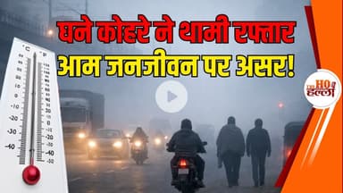 लखनऊ में कोहरे की चादर, सड़कों पर थमी रफ्तार; किसान खुश, आमजन परेशान!