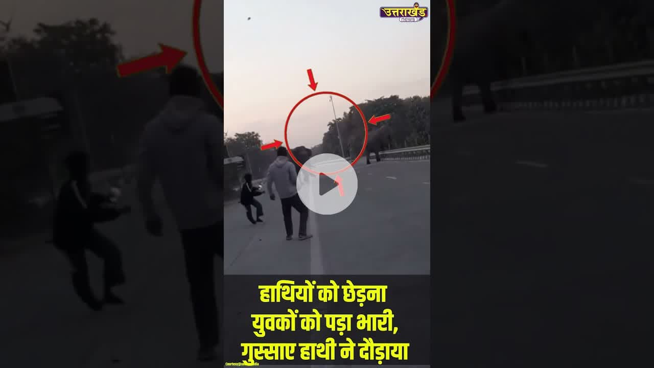 हाथियों को छेड़ना युवकों को पड़ा भारी, गुस्साए हाथी ने दौड़ाया  #elephantviralvideo #uttarkhandnews
