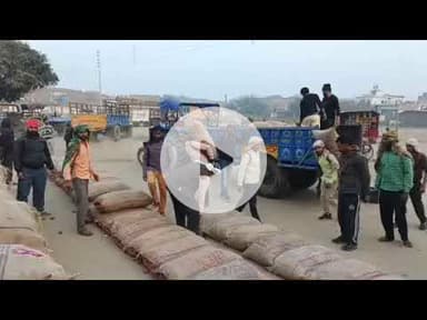 जलालाबाद की मंडी में आलू का भाव गिरा, किसान मायूस