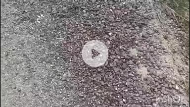 डुमरांव: चिलहरी गांव तक जाने वाली ₹78 लाख की सड़क 15 दिन में जर्जर, शिकायत के बाद दोबारा बनी सड़क भी उखड़ी