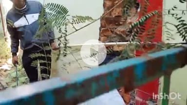 गुना नगर: क्राइस्ट स्कूल के पास दो दिन से दीवारों में फंसी गाय को स्कूल की दीवार तोड़कर निकाला गया