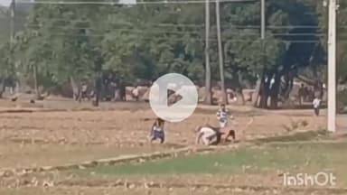 मुंगेर: मुंगेर में जमीनी विवाद में मारपीट, दो युवक घायल, पुलिस जांच में जुटी, वीडियो वायरल