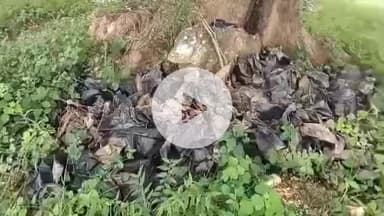 ତଲସରା: ବନୀକରଣ କାର୍ଯ୍ୟରେ ବ୍ୟାପକ ଅନିୟମିତ ଅଭିଯୋଗ ଉଠାଇଲେ ଜିଲ୍ଲା ପରିଷଦ ସଭ୍ୟ