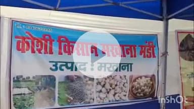 सौर बाज़ार: सौरबाजार के विवेकानंद झा ने मखाना कारोबार में बनाई पहचान, हर सप्ताह करते हैं 3 टन सप्लाई, दिल्ली में वेयरहाउस