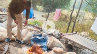 जगन्नाथपुर: उत्पाद विभाग की बड़ी कार्रवाई: 3200 किलो जावा महुआ नष्ट, 200 लीटर अवैध शराब जब्त