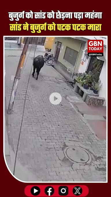 बुलंदशहर में सांड ने बुजुर्ग पर हमला किया, घायल व्यक्ति अस्पताल में भर्ती #Bulandshahr #UPNews #BullAttack #AnimalAttack