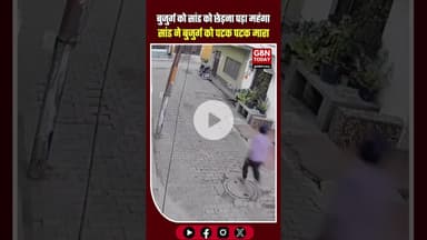 बुलंदशहर में सांड ने बुजुर्ग पर हमला किया, घायल व्यक्ति अस्पताल में भर्ती #Bulandshahr #UPNews