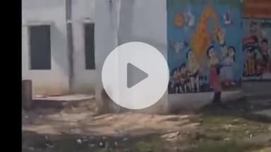 मंझनपुर: पवैया स्कूल में बच्चों द्वारा की जा रही मजदूरी का वीडियो हुआ वायरल