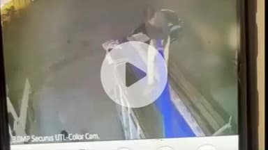 झालरापाटन: चेचट में लोडिंग वाहन से गिरकर युवक की मौत, वीडियो आया सामने